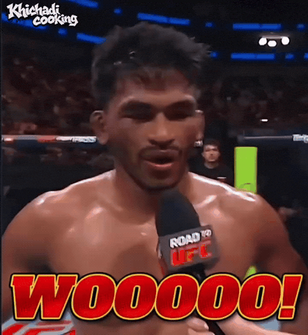 Ufc Mma GIF