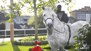 Looking White Pony GIF by Ascot Racecourse