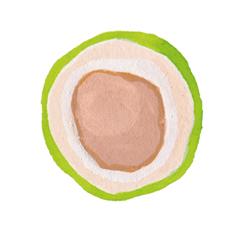 Coco Bali Sticker by Camille Florès