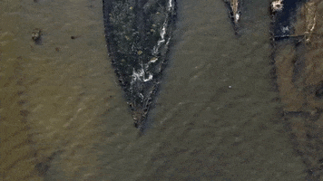 200.gif?cid=fc005b08a53fc5f62078f3e21378677b43bdf5755d595771&rid=200.gif&ct=g