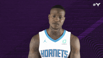 Terry Rozier Sport GIF by Charlotte Hornets