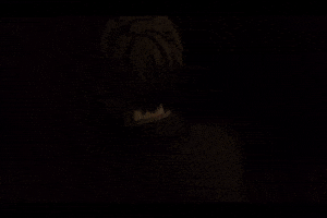 Donghua GIF
