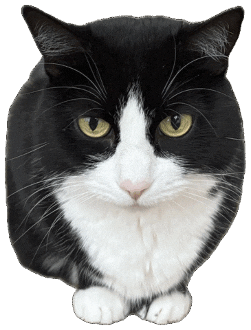 Sparkassensticker Sticker by Sparkasse