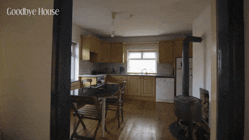 House View GIF by Stellify Media