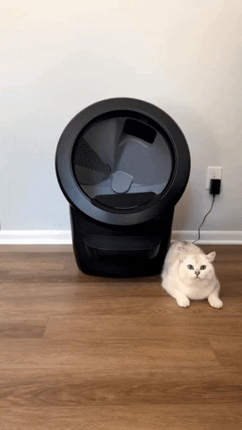 Happy Cat GIF by Litter-Robot