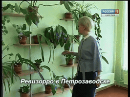 gubdaily  GIF