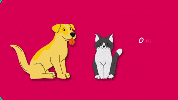 GIF by Cronos Logistics