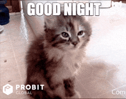 Good Night Reaction GIF by ProBit Global