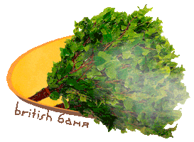 British banya Sticker