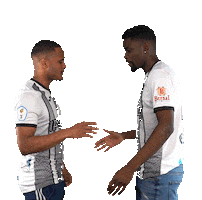 U.P.Plasencia Sticker