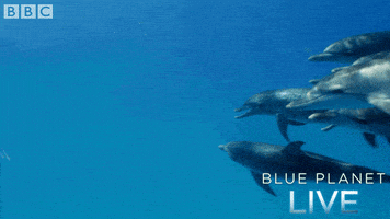 bbc one oceans GIF by BBC