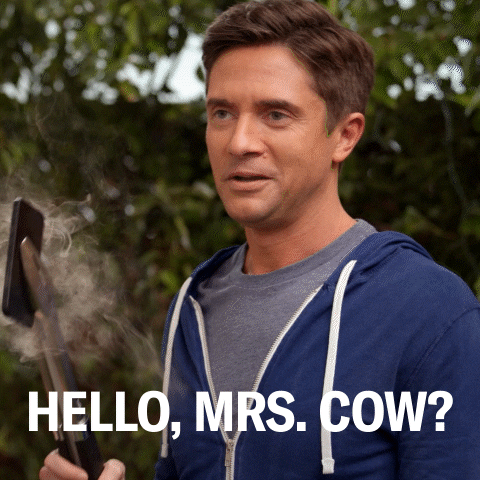 Phone Call Hello GIF by ABC Network