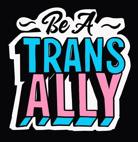 I Support You Trans Day Of Visibility GIF