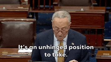 Chuck Schumer Debt Ceiling GIF by GIPHY News