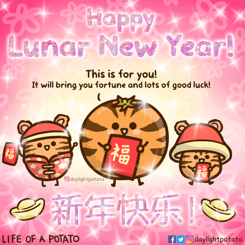 Chinese New Year Tiger GIF by Life of a Potato