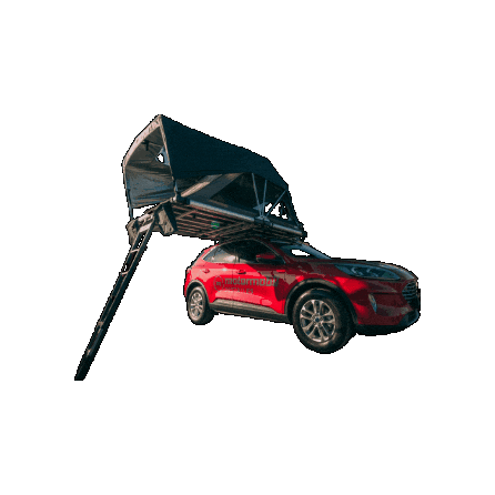 Ford Sticker by INTER-TRADE