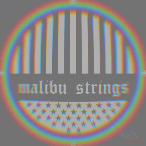 Malibustrings malibu strings bikinis malibustrings GIF