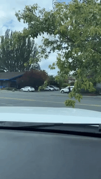 Two Suspects Dead, Six Police Officers Injured in Shootout at Vancouver Island Bank