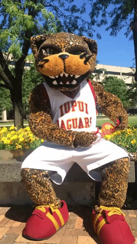 double take deal with it GIF by IUPUI