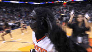 Giphy - Come Again Phoenix Suns GIF by NBA