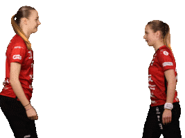 Floorball Salibandy Sticker by Tatran Stresovice