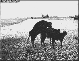 sad fall GIF by Cheezburger