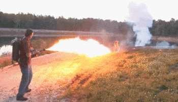 200.gif