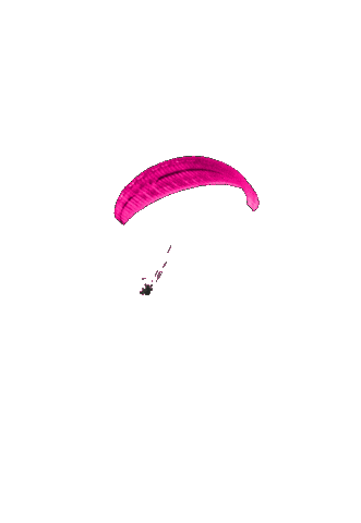 SkyGirlParaglinding Sticker
