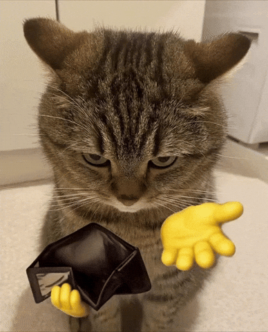 Cat Money GIF by Bashar