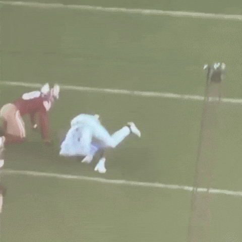 Detroit Lions Jamo GIF