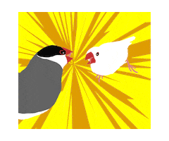 Fight 鳥 Sticker