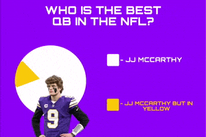 Minnesota Vikings GIF