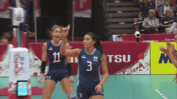 Happy Like A Boss GIF by Volleyball World