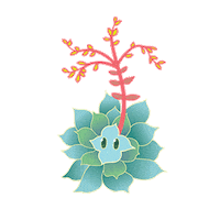 Succulents Liveforever Sticker by California Native Plant Society
