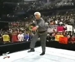 ric flair wwe GIF