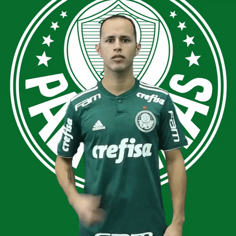 hoje tem alejandro guerra GIF by SE Palmeiras