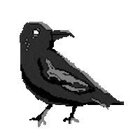 Bird Raven Sticker