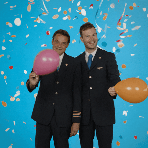 Cabin Crew Party GIF by KLM