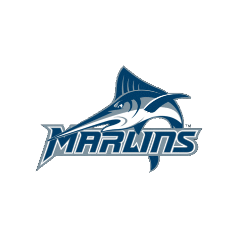 Virginia Wesleyan University Sticker