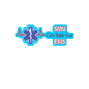 CSL EMS Sticker