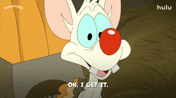 Oh I Get It Pinky And The Brain GIF by HULU