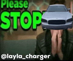 Car Meme Please Stop GIF