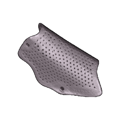 Cage Pierre Sticker by Biotech Dental