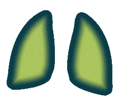 fgn-fortbildungen Sticker