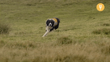 Leaving Slow Motion GIF by CuriosityStream
