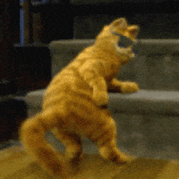 happy dancing cat gif