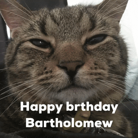 Happy Birthday Cat GIF