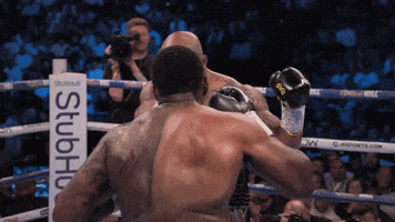 Fight Boxing GIF by Productions Deferlantes