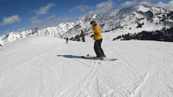 Ski Spinning GIF by PureADK