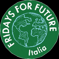 GIF by Fridays For Future Italia